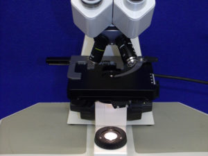 Carl Zeiss Standard 20 Durchlicht Mikroskop Microscope